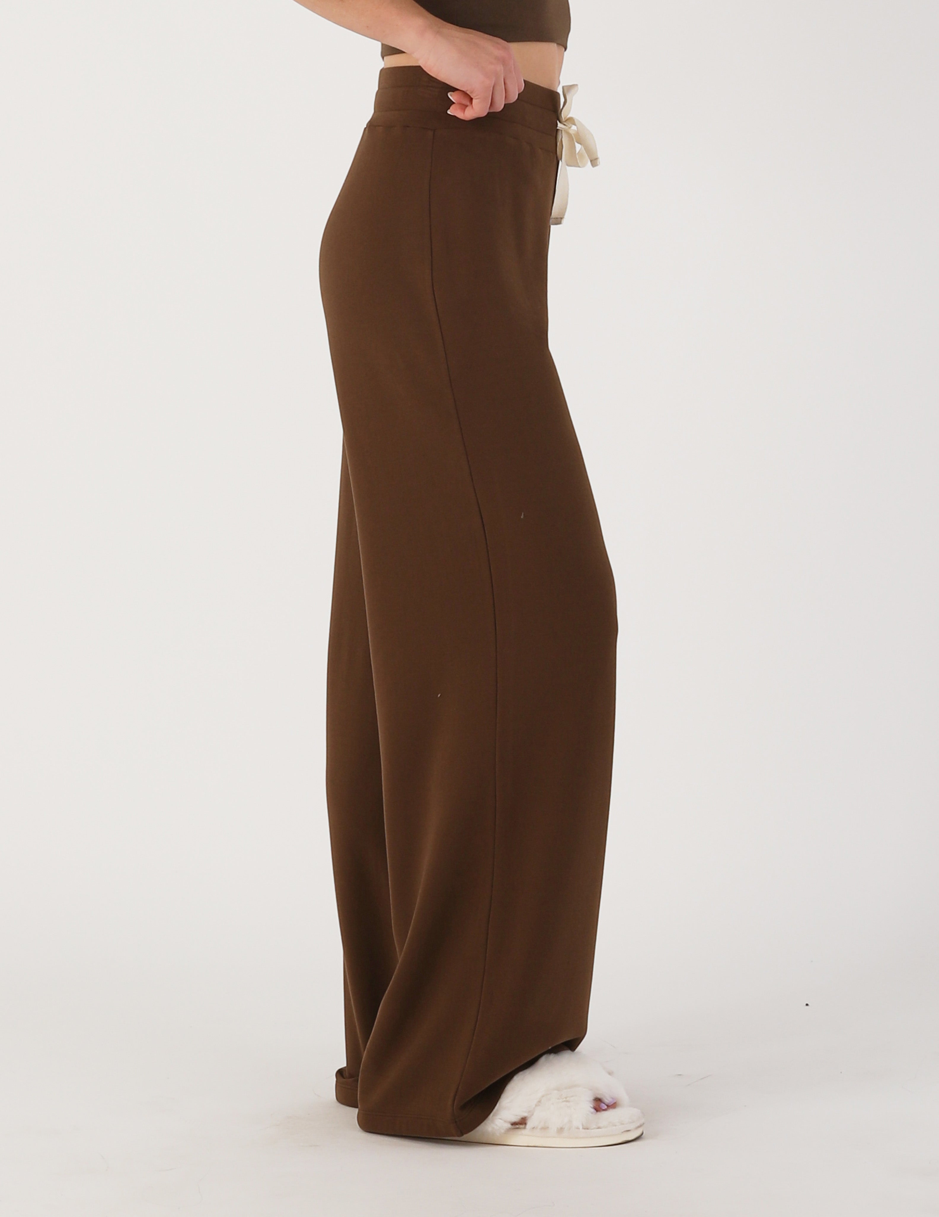 Cloud Fleece Pant: Chocolate