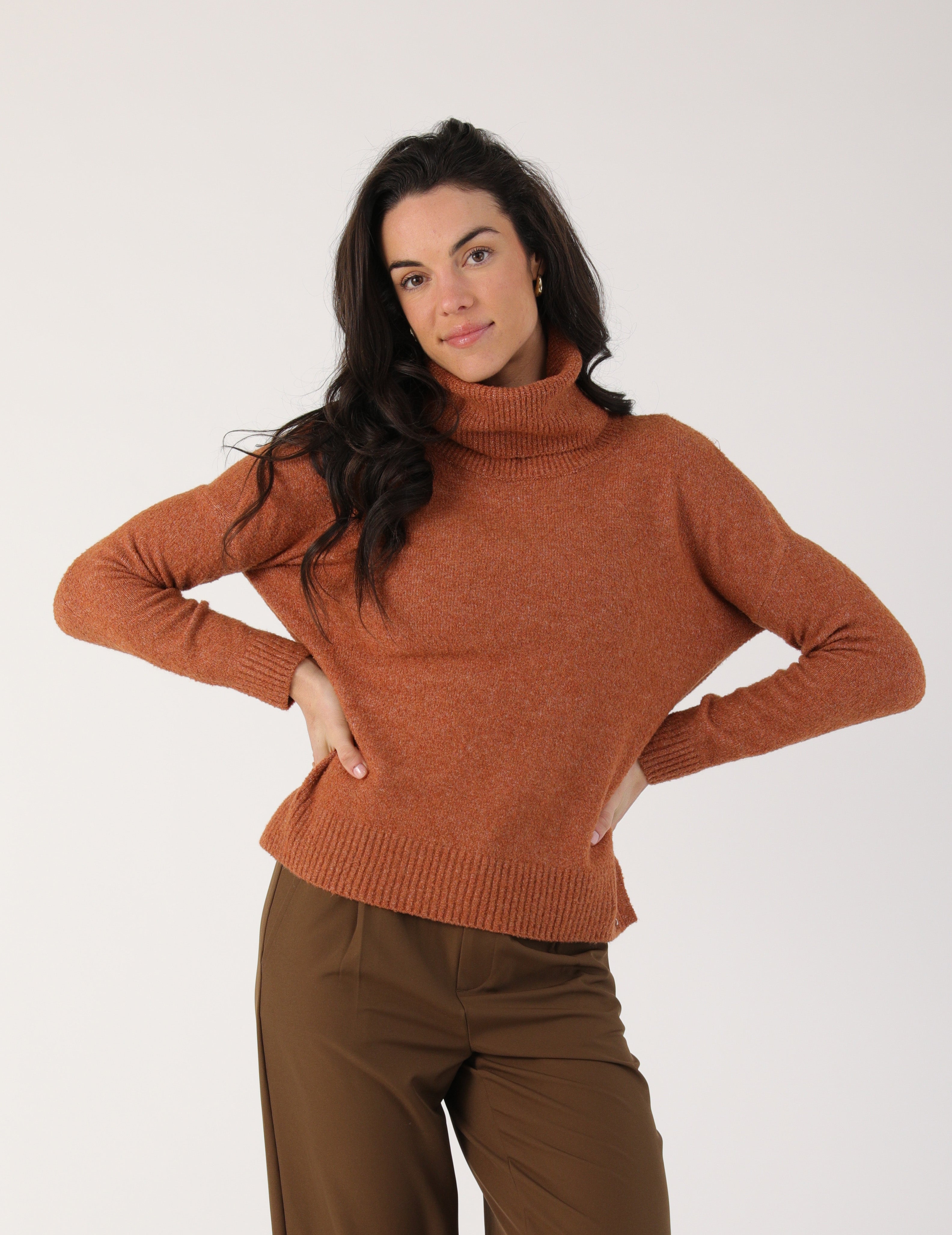 Shelly Turtleneck: Cinnamon